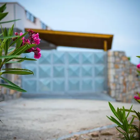 Rose * Αρχάγγελος