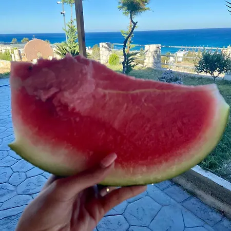 Villa Rose Archangelos (Rhodes)