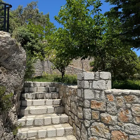 Rose Архангелос