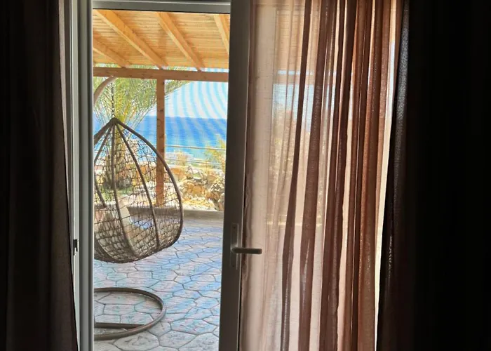 فيلة Rose أرخانجلوس