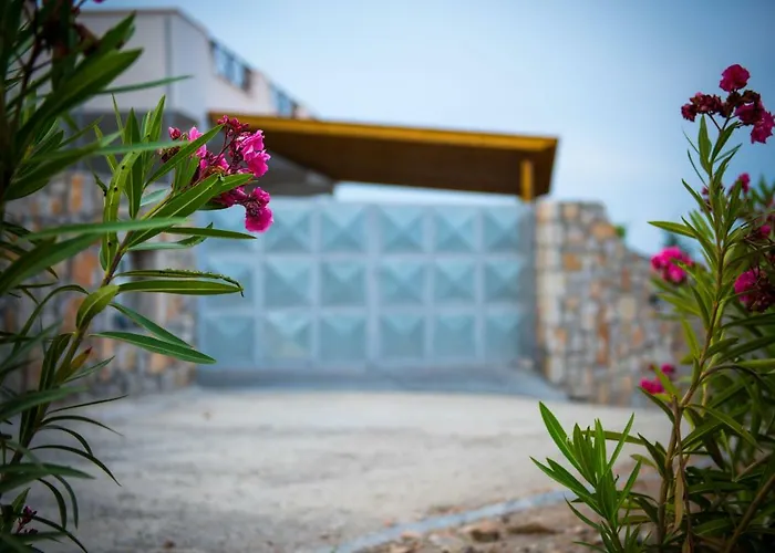 Rose * أرخانجلوس