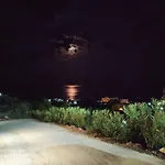 Rose Vilă *